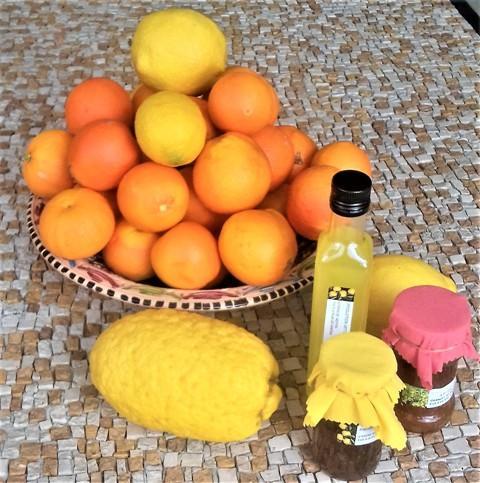 Les Mimosas Bed & Breakfast Menton Exterior foto